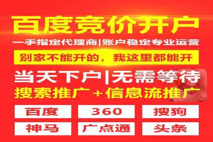 网络营销实战：案例分享竞价推广的秘诀